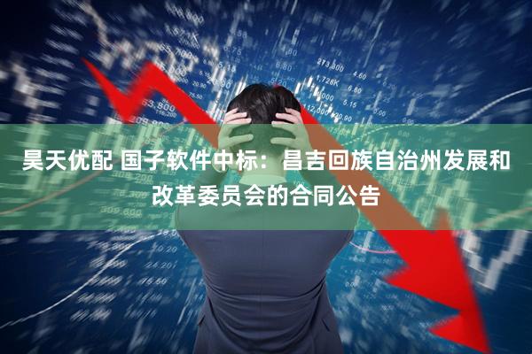 昊天优配 国子软件中标：昌吉回族自治州发展和改革委员会的合同公告